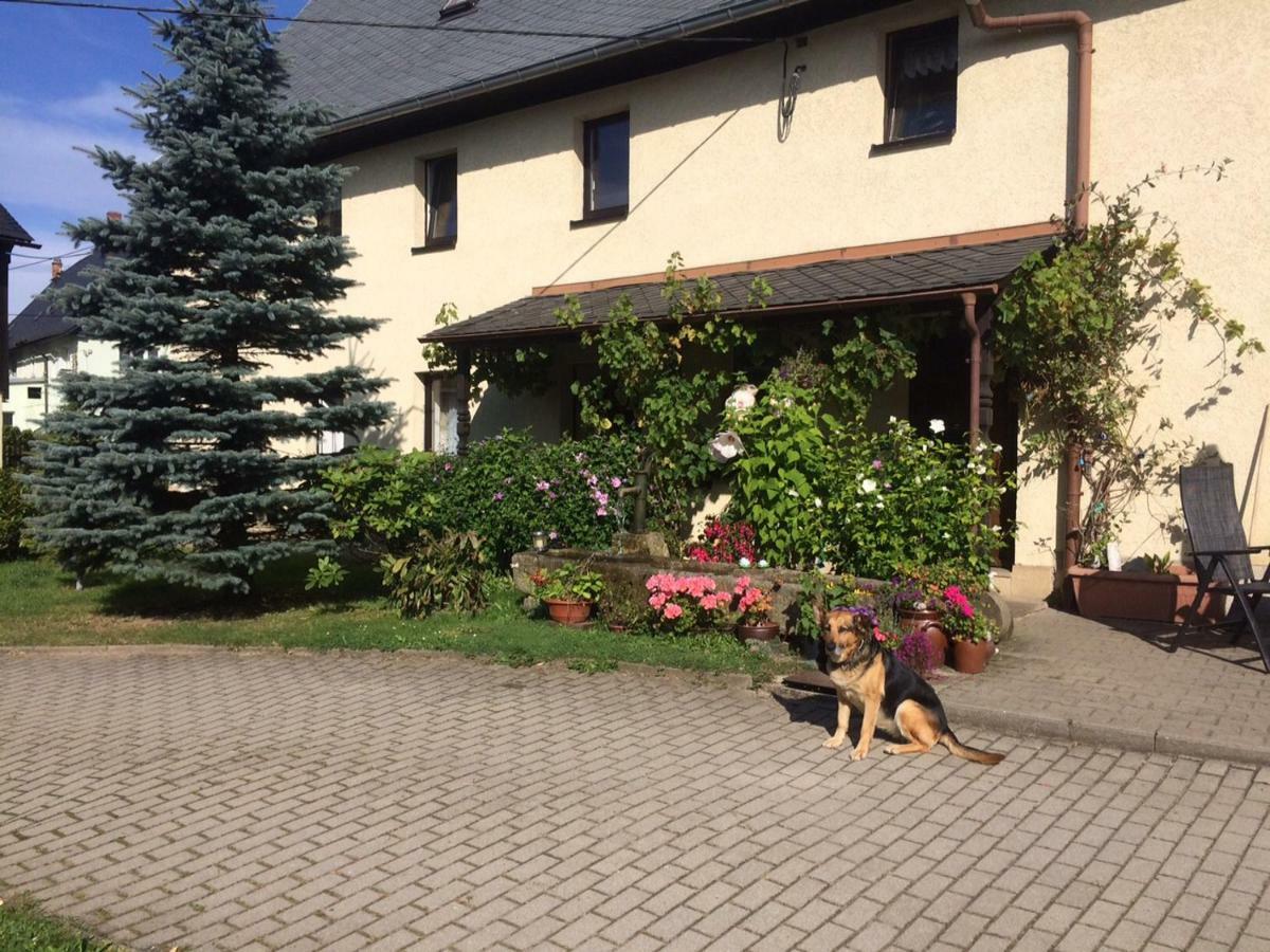 Sommerfrische Hinterhermsdorf Extérieur photo