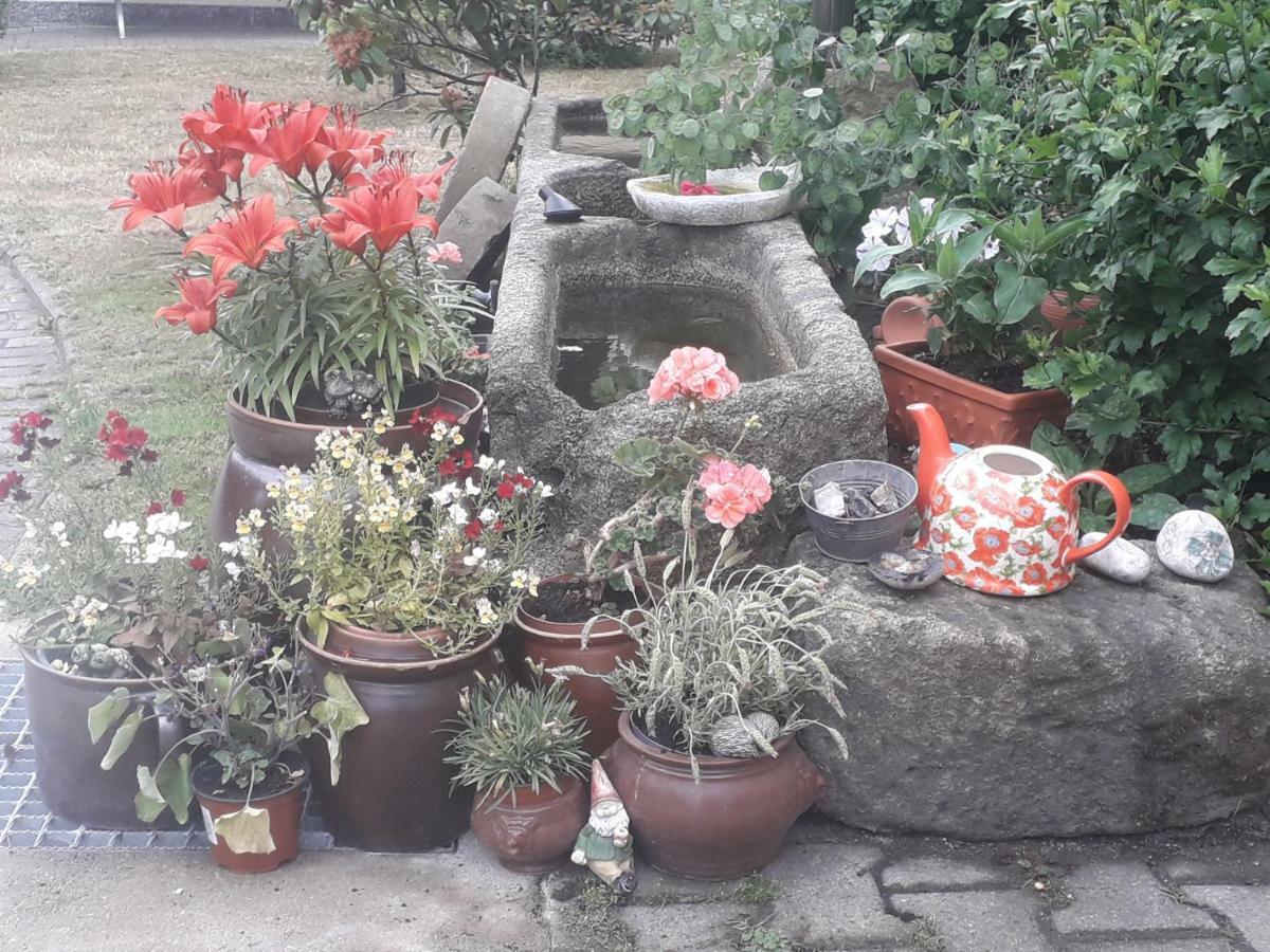 Sommerfrische Hinterhermsdorf Extérieur photo