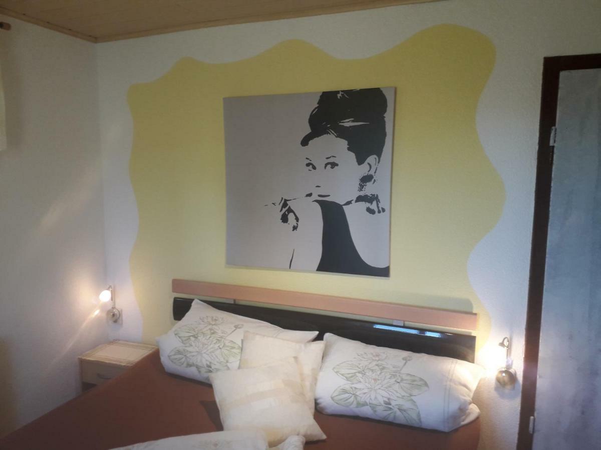 Sommerfrische Hinterhermsdorf Extérieur photo