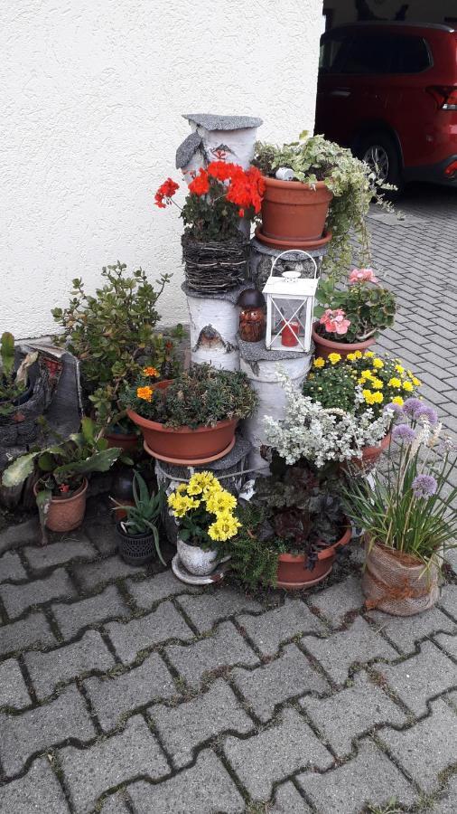 Sommerfrische Hinterhermsdorf Extérieur photo